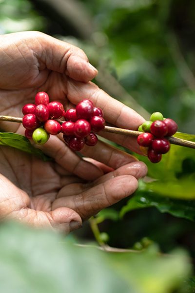Sin título-4_0003_AdobeStock_293732957